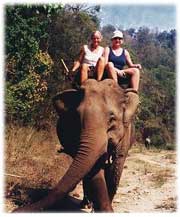 Dorte og Mette på elefantryg